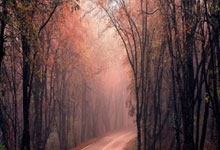 亚星官网：[高尔夫]捷尼赛思邀请赛阿伯格上演王者归来 伍兹出席颁奖.