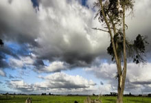 亚星官网：[NBA]申京24+15 火箭战胜公牛.