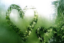 巴乙宣：申花签下巴西前锋米内罗 转会费95万美元.